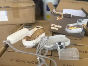 Foldable 3 in 1 Steam Iron