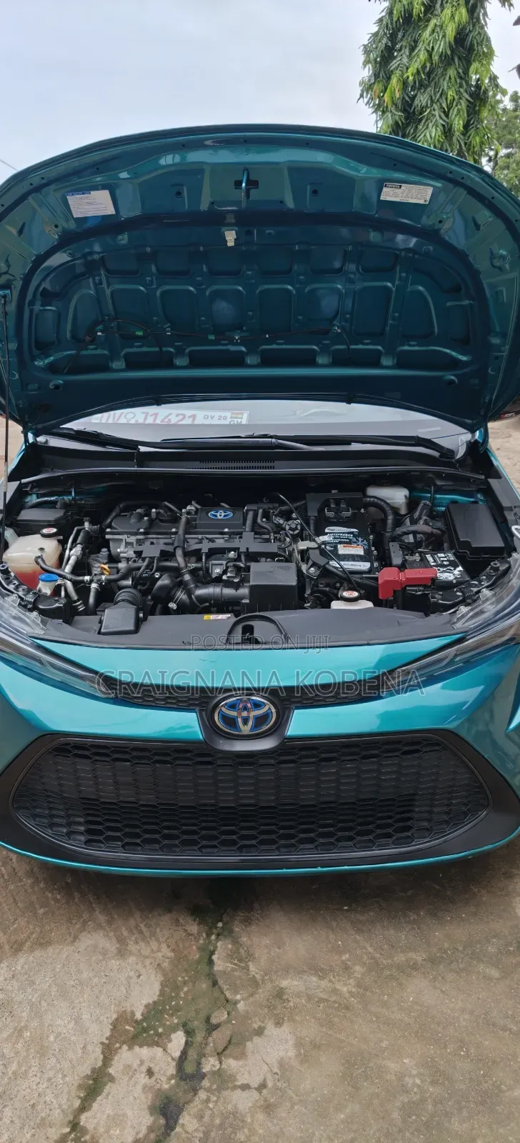 Toyota Corolla 2022 Green