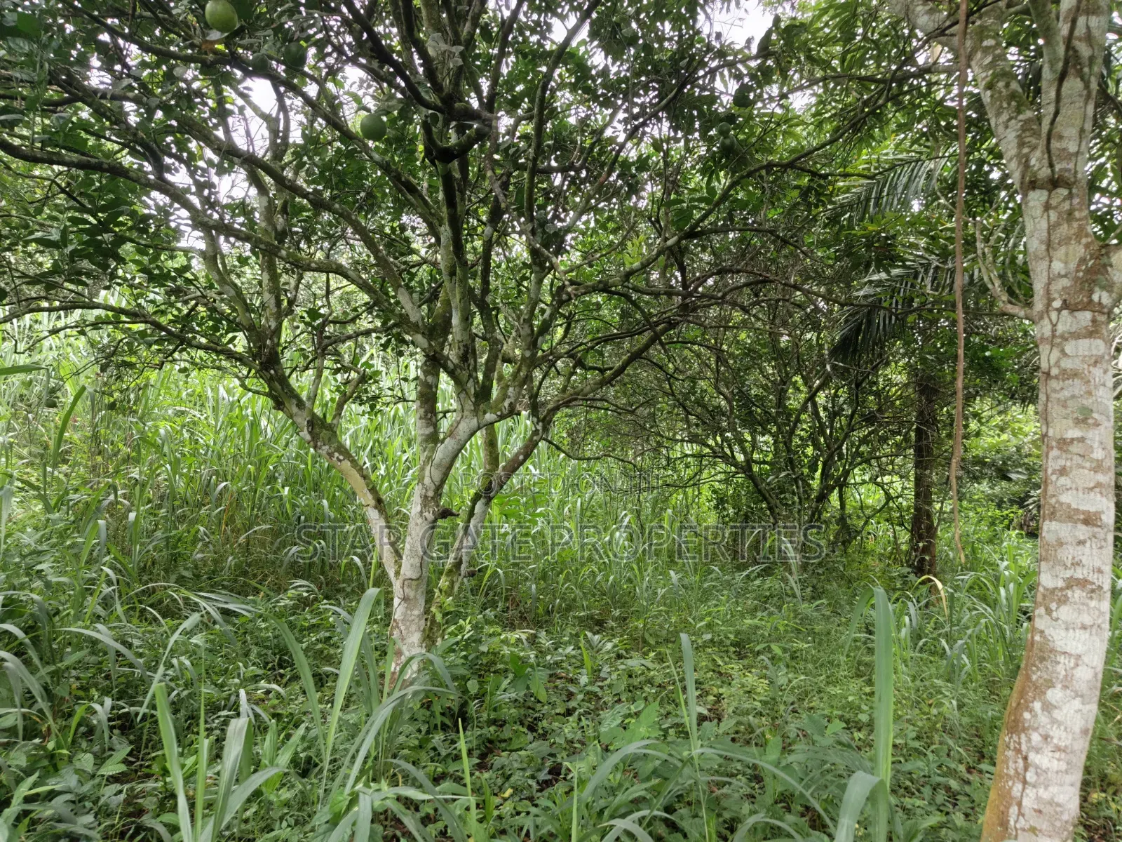 40 Plots for Sale at Ejisu Boankra Road