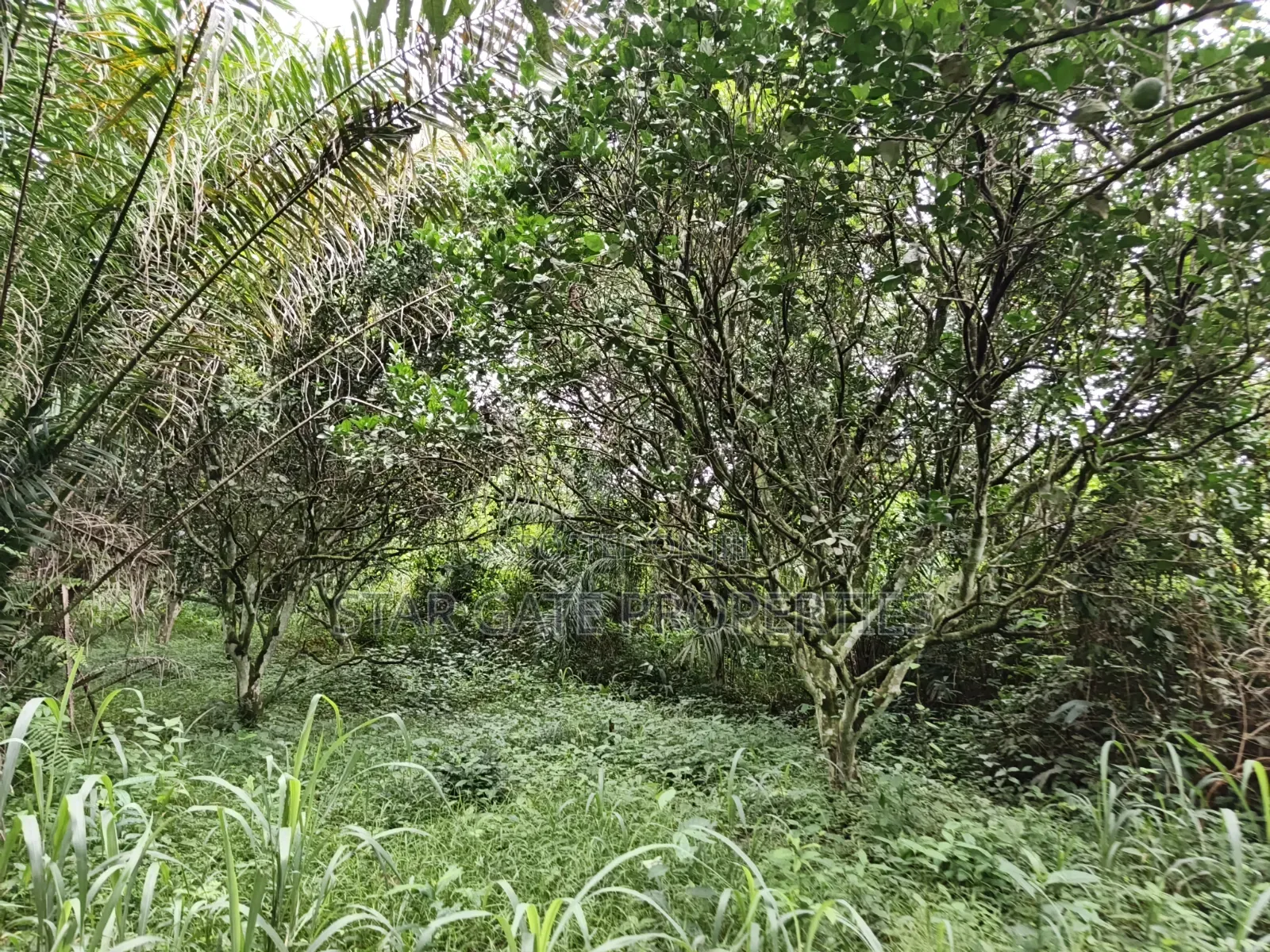 40 Plots for Sale at Ejisu Boankra Road