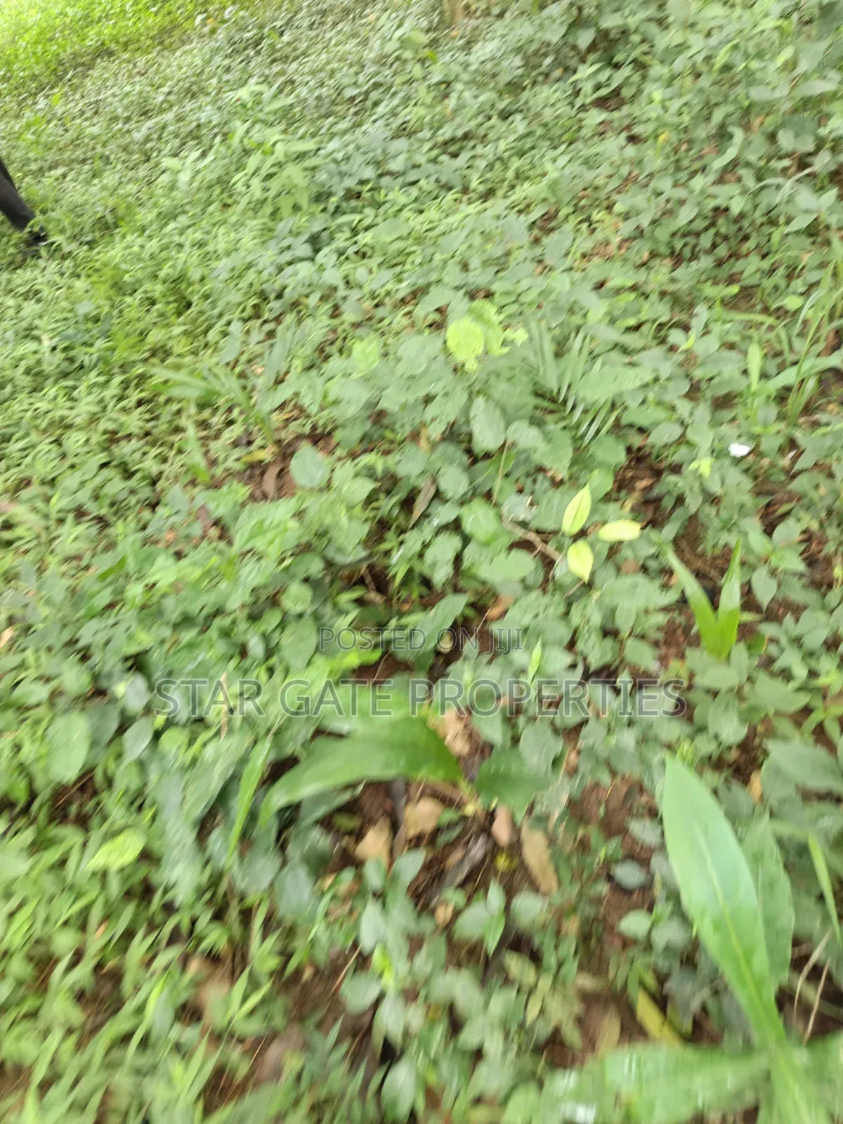 40 Plots for Sale at Ejisu Boankra Road