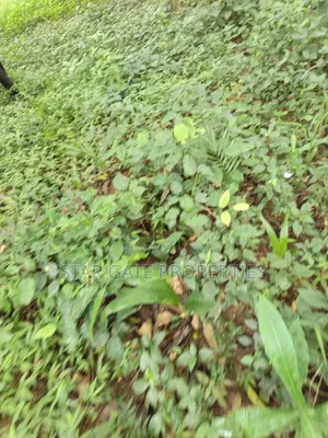40 Plots for Sale at Ejisu Boankra Road