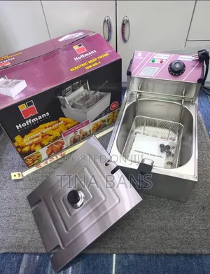 Hoffmans 6Litres Electric Deep Fryer