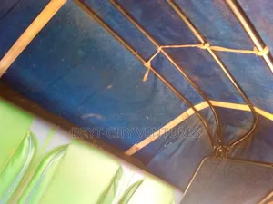 Bajaj RE 2024 Green