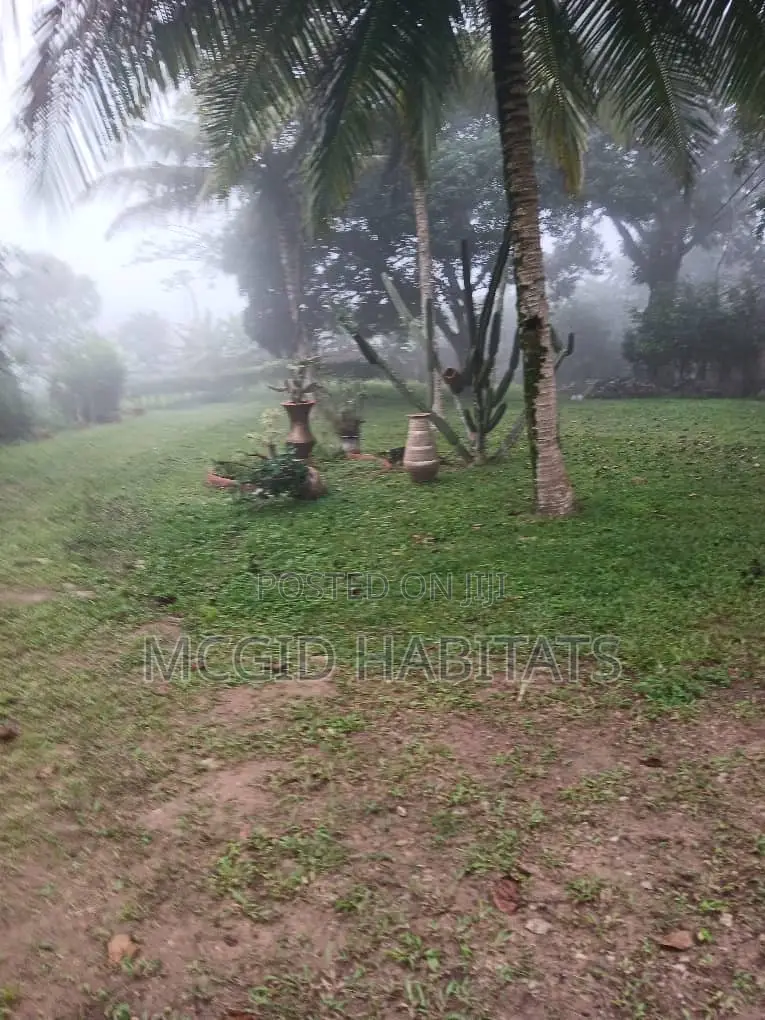18 Plot of Land With 4 Bedrooms for Sale, Peduase
