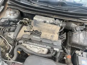 Hyundai Elantra 2010 Gray