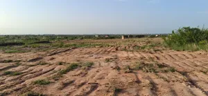 Neat Partially Develop Lands - Prampram Beach Lane