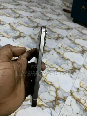 Apple iPhone 15 Pro Max 256 GB Gray
