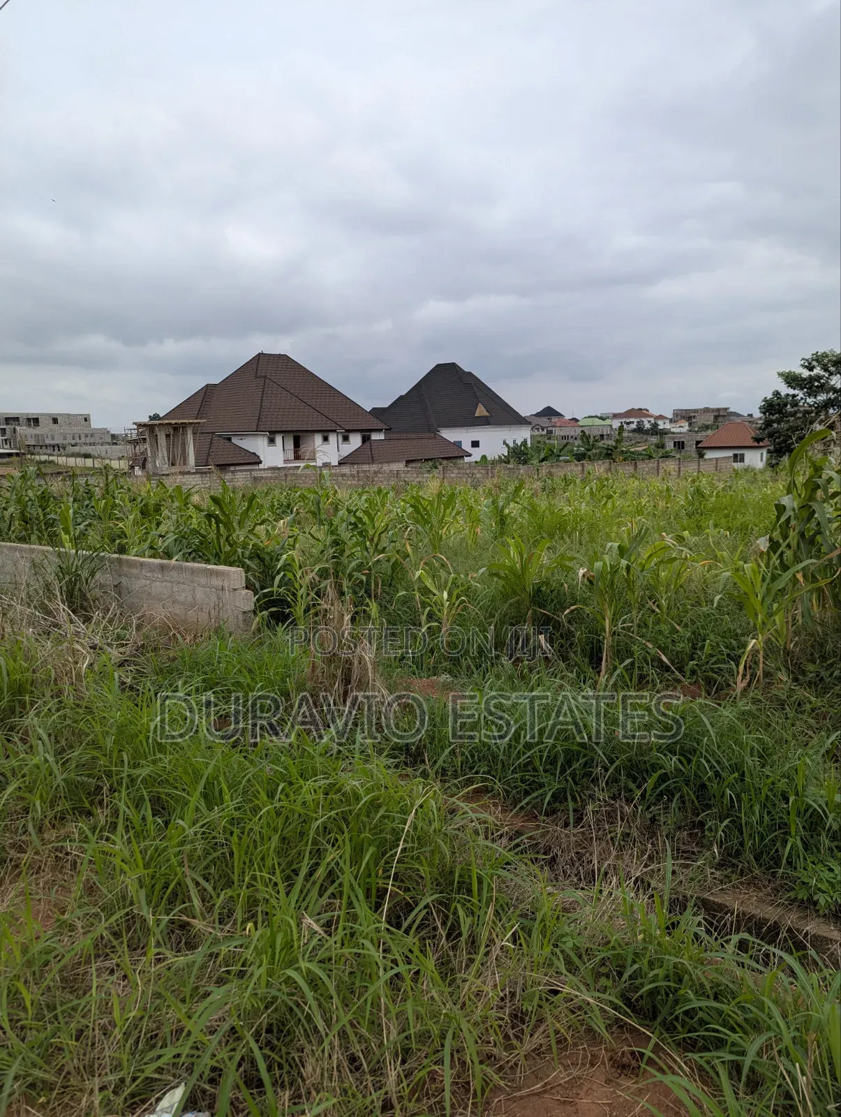 Prime Land in Agric Nzema Hilltop