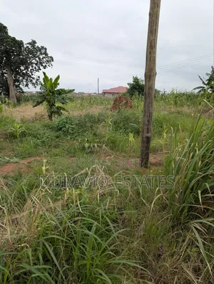 Prime Land in Agric Nzema Hilltop