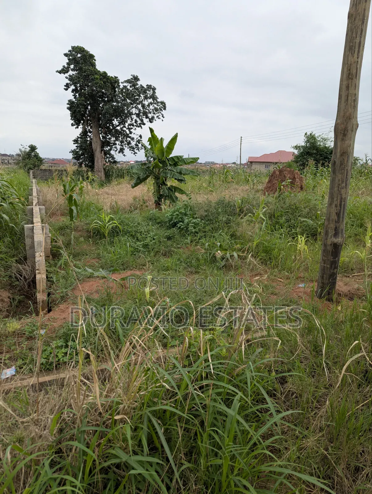 Prime Land in Agric Nzema Hilltop