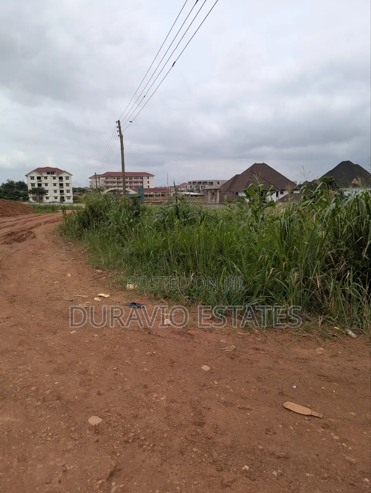 Prime Land in Agric Nzema Hilltop