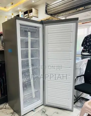 Premium Nasco 260L Single Door Standing Freezer(Nasd1-33)Gray.