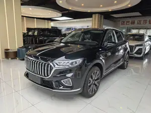New Hongqi E-HS9 Flagship 2024 Black