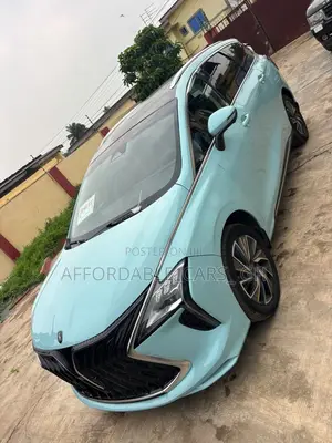 Dongfeng Fengxing Joyear 2021 Blue