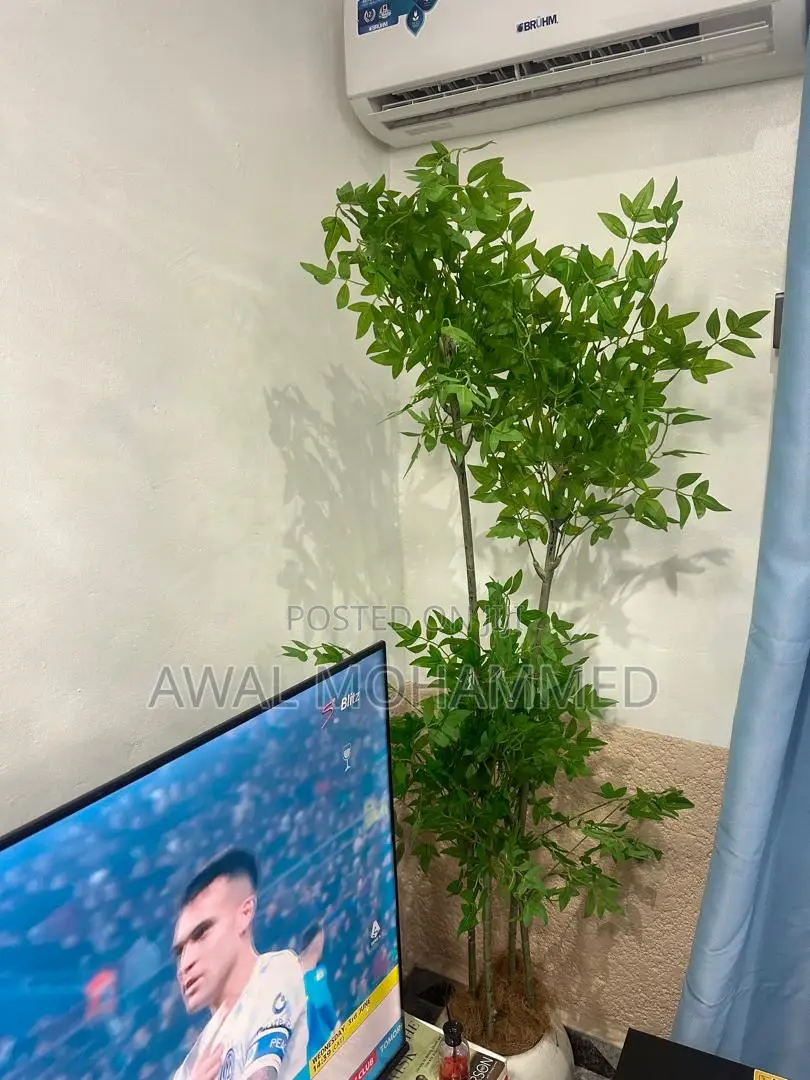 Artificial Plants