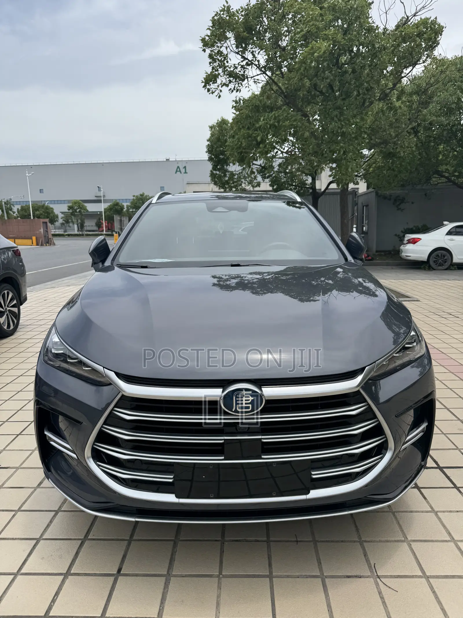 BYD Tang DM-i 2022 Gray