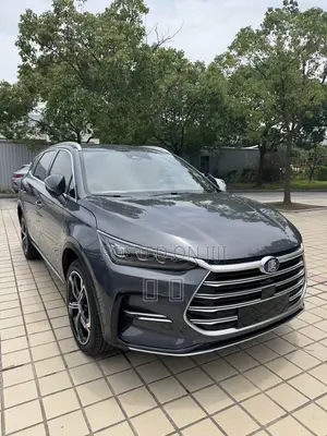 BYD Tang DM-i 2022 Gray