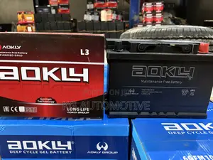 15 Plate Aokly Battery