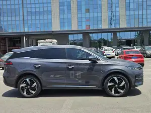 BYD Tang DM-i 2023 Gray