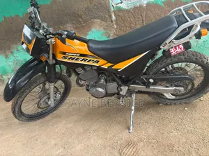 Kawasaki 2026 Yellow