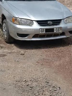 Toyota Corolla 2002 Gray