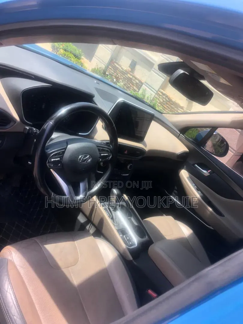 Hyundai Santa Fe 2019 Blue