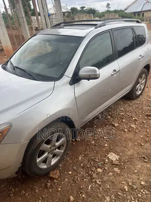 Toyota RAV4 Limited 2007 Gray