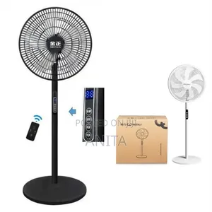 Standing Fan