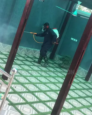 DORLLINS Fumigation Company Say Goodbye to Your Pest 