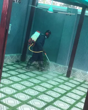 DORLLINS Fumigation Company Say Goodbye to Your Pest 