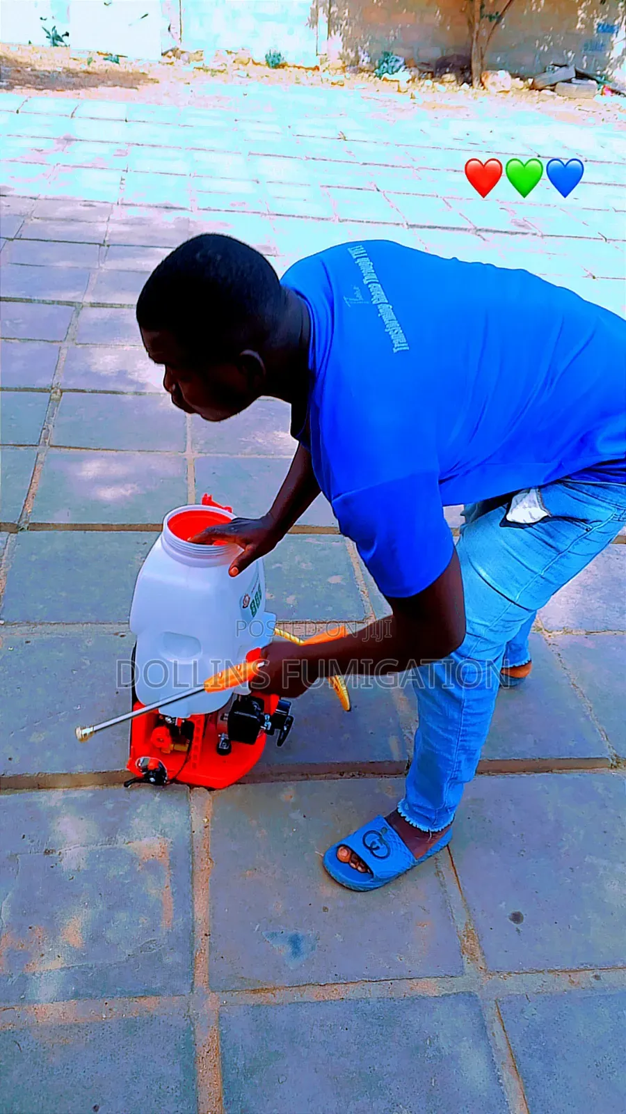 DORLLINS Fumigation Company Say Goodbye to Your Pest 