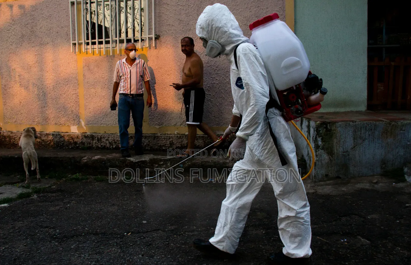 DORLLINS Fumigation Company Say Goodbye to Your Pest 
