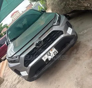 Toyota RAV4 2024 Gray