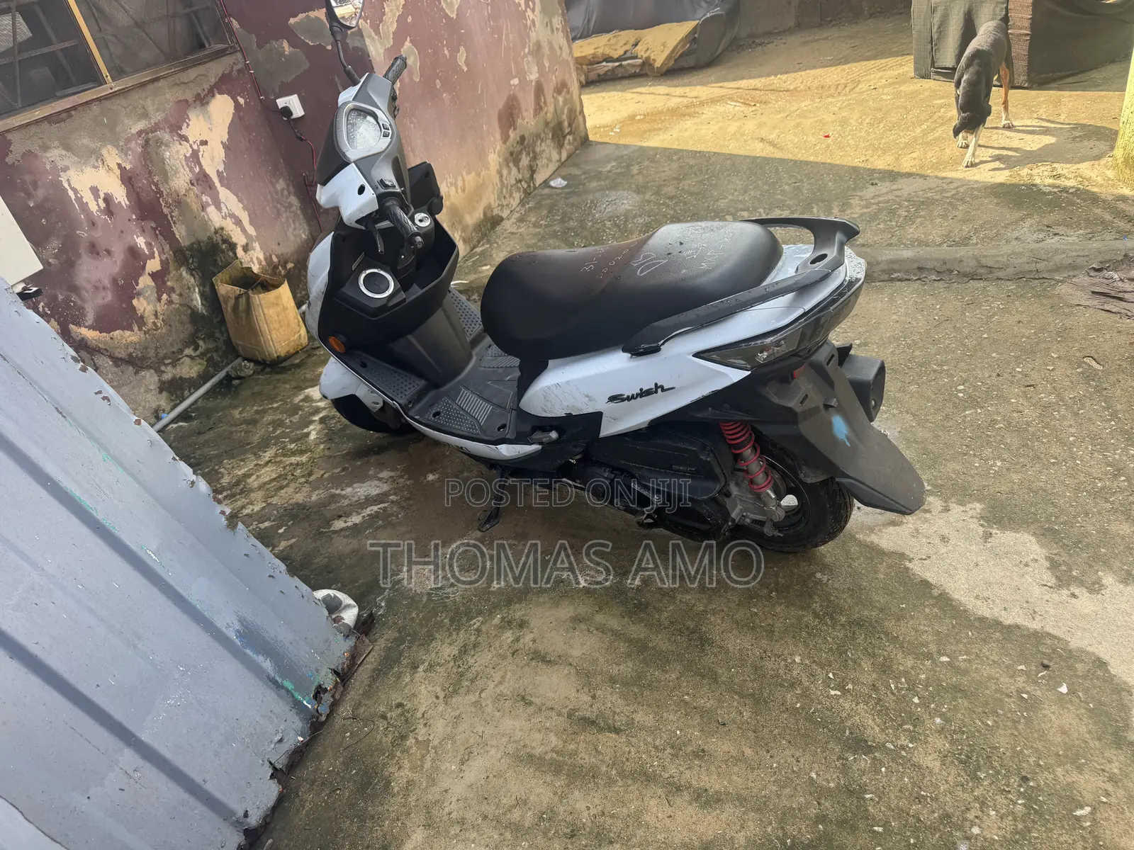 Suzuki 2021 White