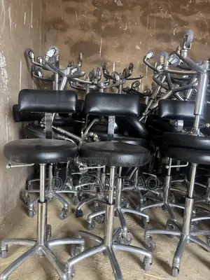Salon /Medical Chair