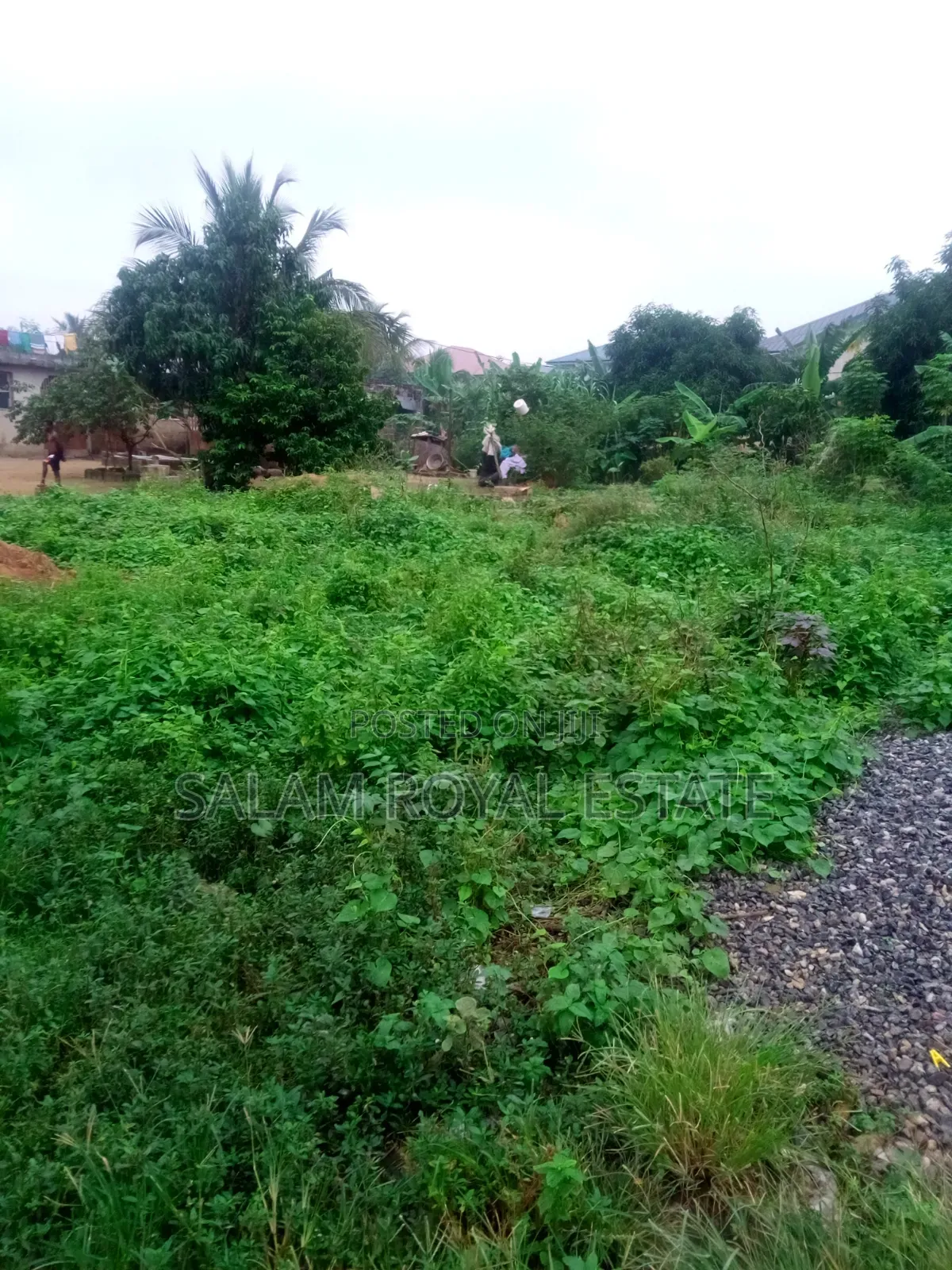 One Plot of Land at Pokuase