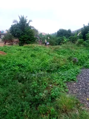 One Plot of Land at Pokuase