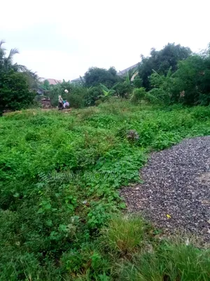 One Plot of Land at Pokuase