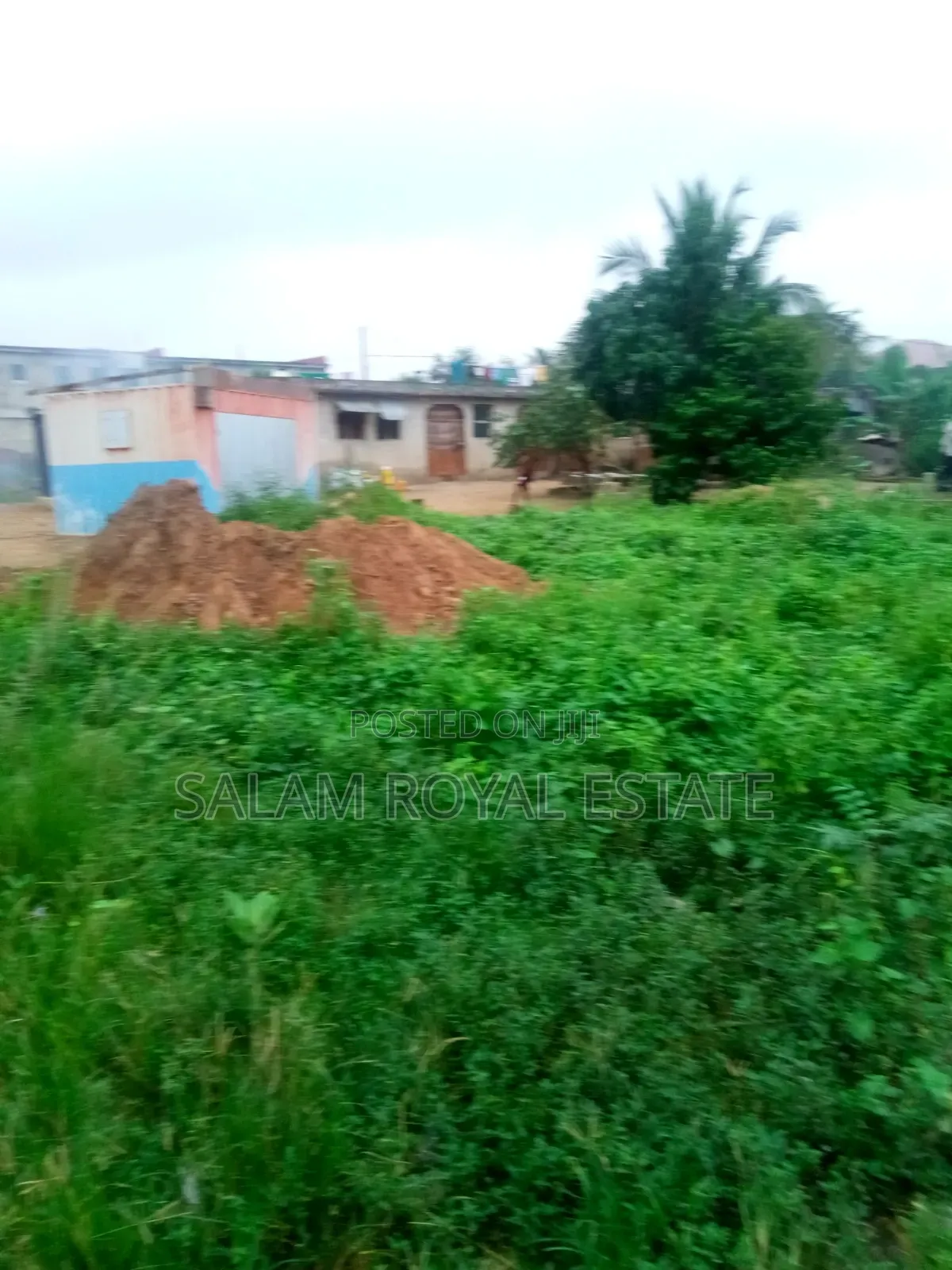 One Plot of Land at Pokuase