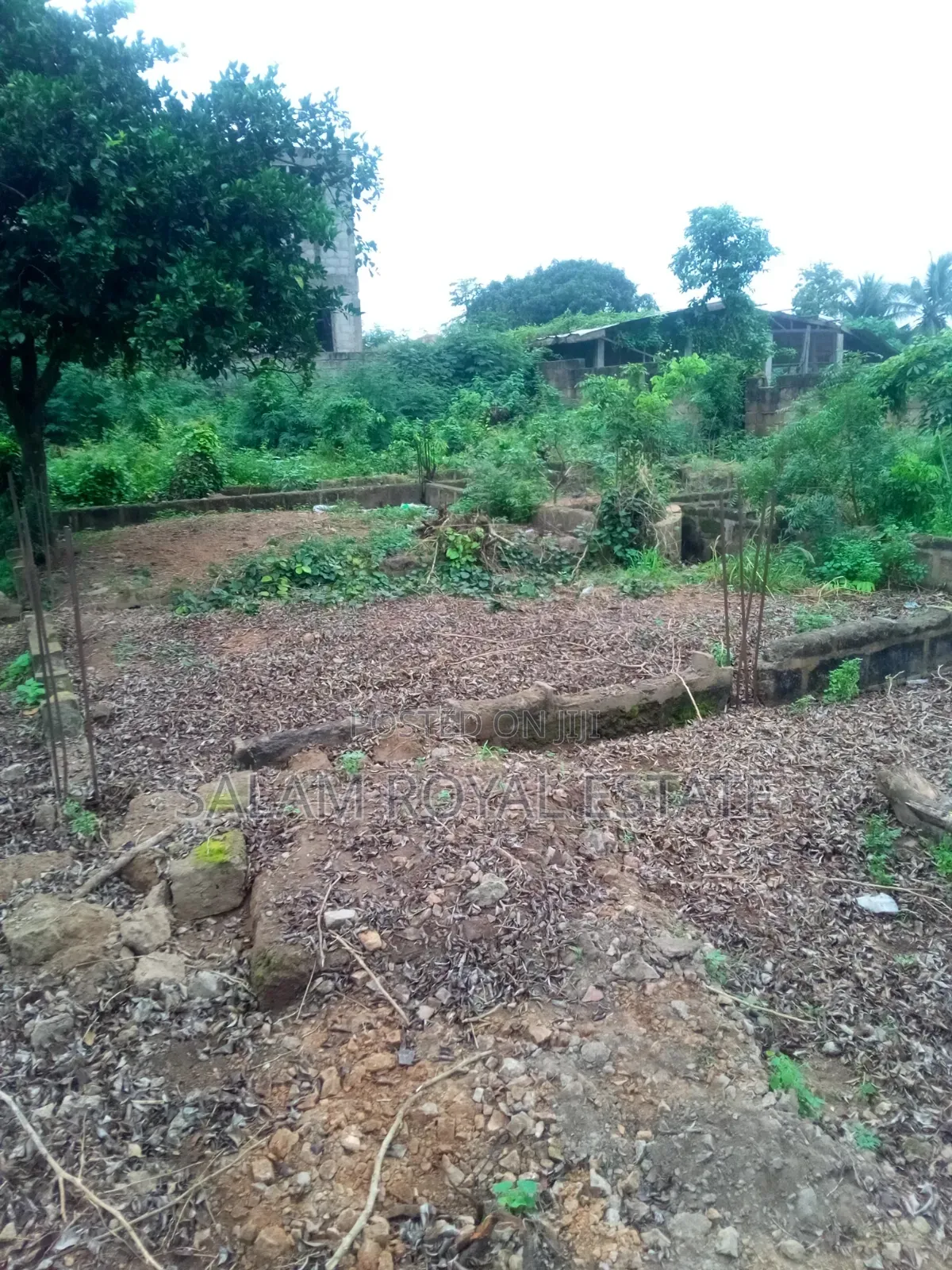 One Plot of Land at Pokuase