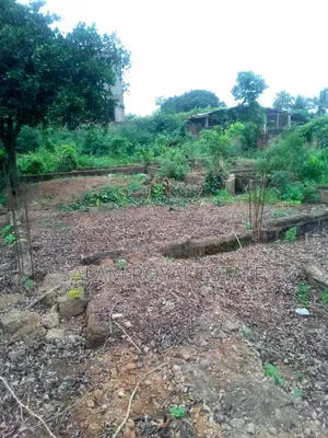 One Plot of Land at Pokuase