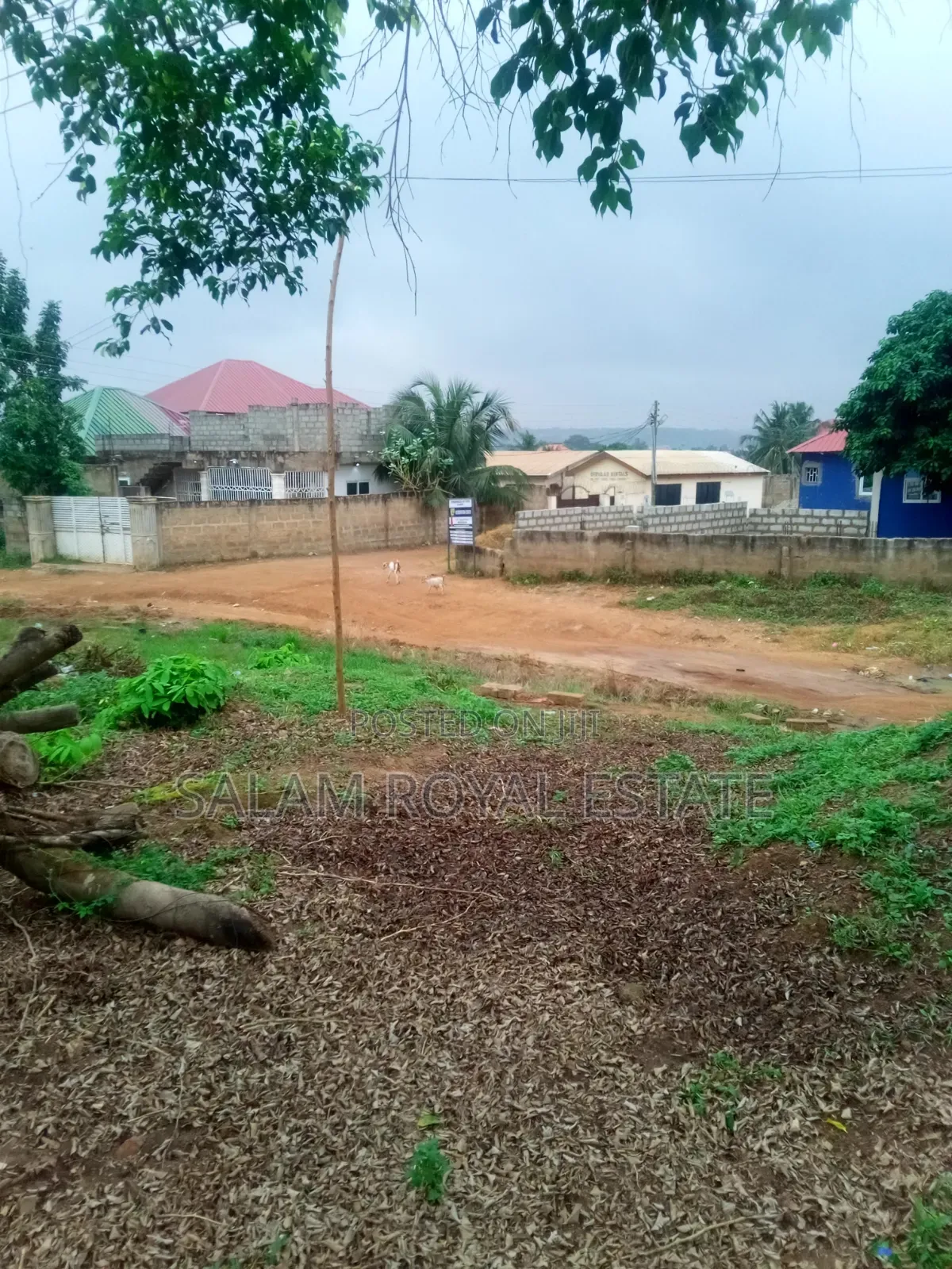One Plot of Land at Pokuase
