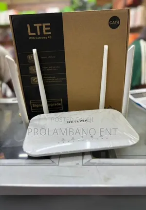 Netlink Cat 4 Router