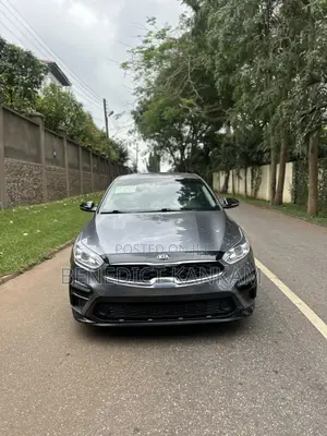 Kia Forte EX 2019 Gray