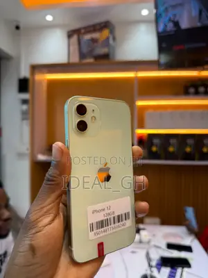 Apple iPhone 12 128 GB Gray