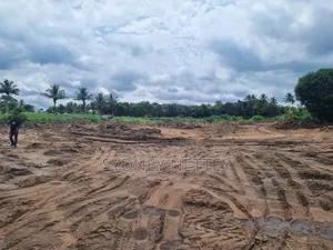 10-Acre Land for Sale – Mankrong, Nkwanta