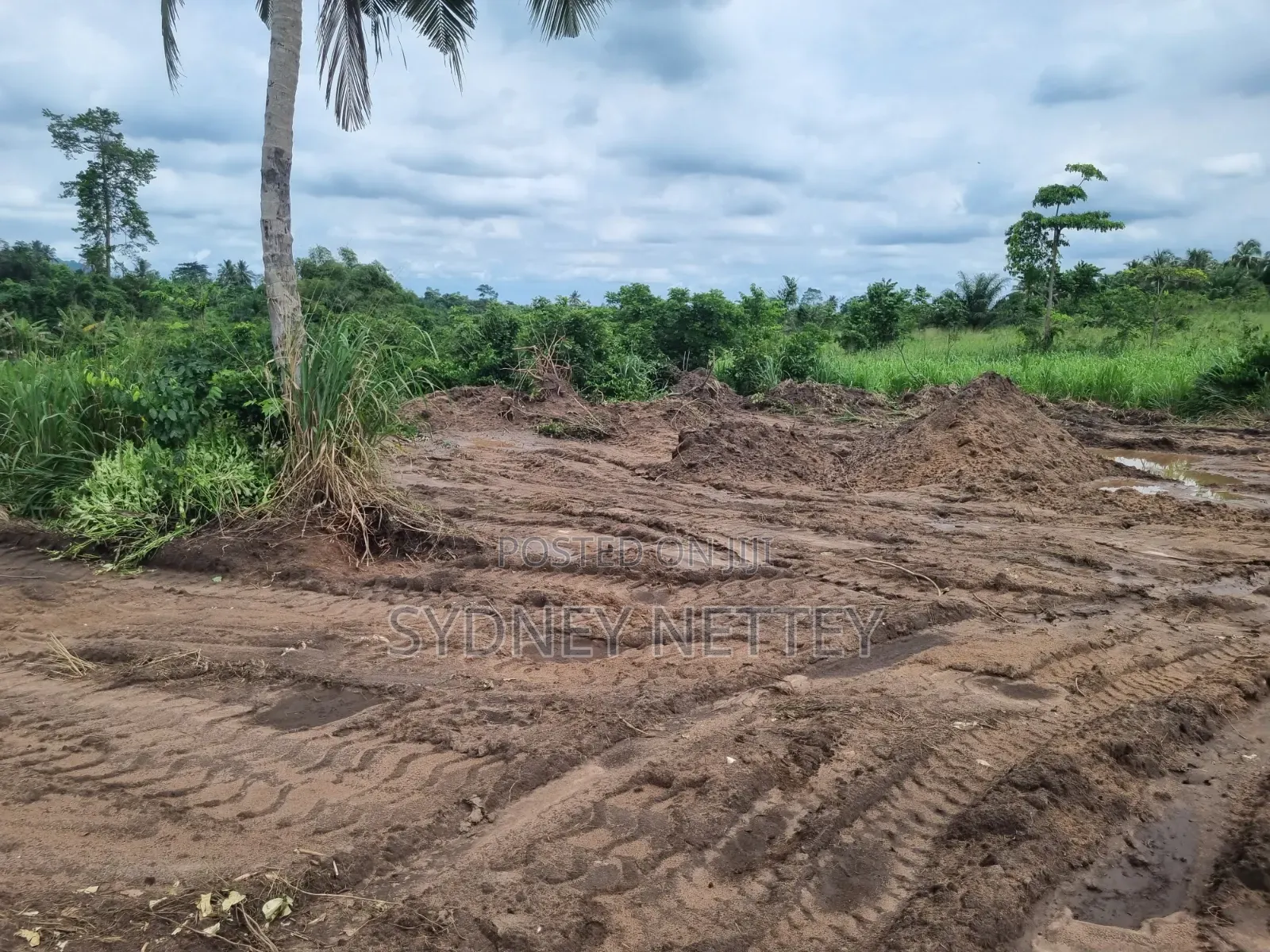 10-Acre Land for Sale – Mankrong, Nkwanta