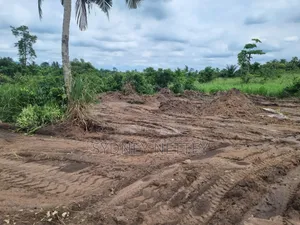 10-Acre Land for Sale – Mankrong, Nkwanta