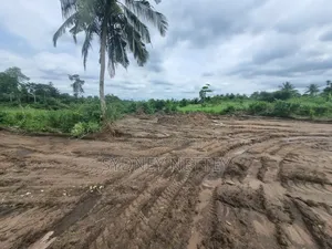 10-Acre Land for Sale – Mankrong, Nkwanta